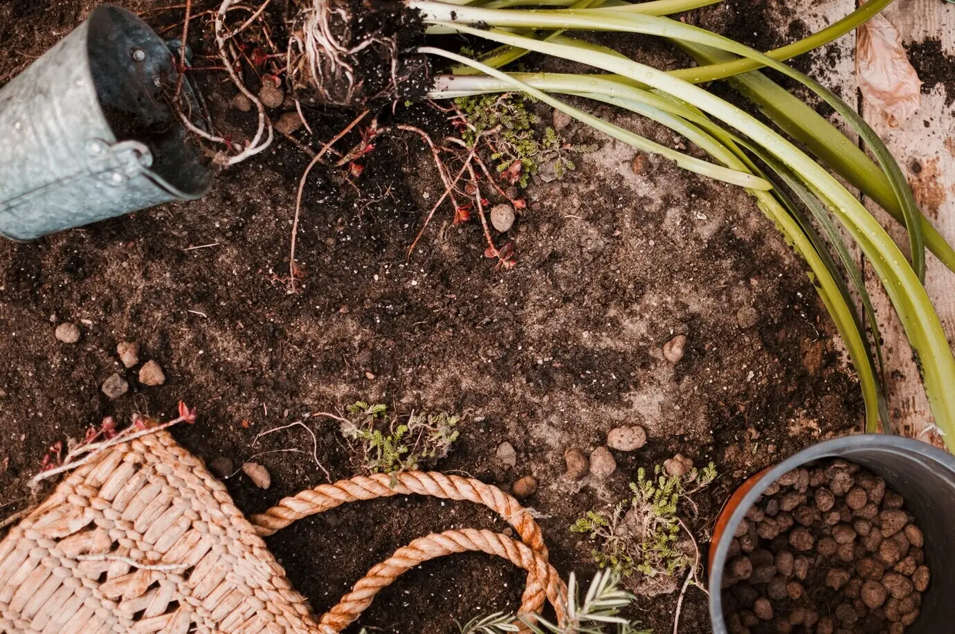 Пожалуйста, пришлите исходный текст описания «Garden» на русском для перефразирования.